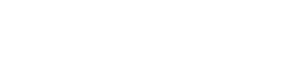 Bondi Assistant